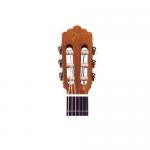 Jose Torres JTC-10