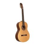 José Torres JTC20S Guitarra Clásica Natural