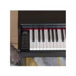Prokeys S55BK Piano Digital Negro