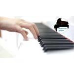 Prokeys S55BK Piano Digital Negro