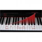 Prokeys S55BK Piano Digital Negro