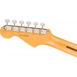 Fender American Pro Classic Stratocaster RW FBLK Guitarra Eléctrica