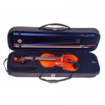 Violín Baldini Bussoni