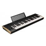 Korg Keystage 49 Controlador Midi