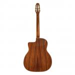 Jose Torres JTG-11-0 Guitarra Gypsy Brillante