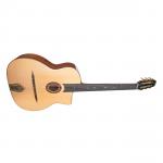 Jose Torres JTG-11-0 Guitarra Gypsy Brillante