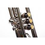 Bressant TR530S Trompeta Si Bemol Plateada Premium