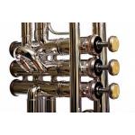 Bressant TR530S Trompeta Si Bemol Plateada Premium