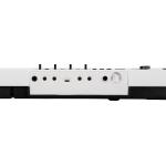 Korg LIANO LIVE! Piano digital