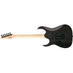 Ibanez GRG120QASP-BKG Guitarra Eléctrica Black Gradation