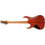 Ibanez GRGR221FA-TDK Guitarra Eléctrica Transparent Indigo Black