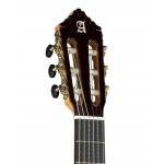 Alhambra 10 FC Guitarra Flamenca