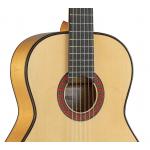 Alhambra 10 FC Guitarra Flamenca