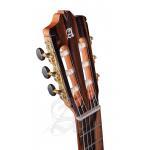 Alhambra GS Classical Green Sustain con Funda Alhambra 9738 de 25mm