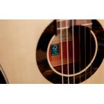 Alhambra GS Classical Green Sustain con Funda Alhambra 9738 de 25mm