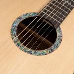 Washburn Bella Tono Elegante S24S Gloss Natural Guitarra Acústica