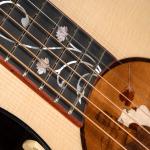 Cort Roselyn Redux Natural Guitarra Electroacústica con Estuche