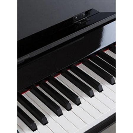 Pianos Electrónicos Prokeys S65BK Piano Digital Negro Pulido