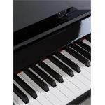 Prokeys S65BK Piano Digital Negro Pulido