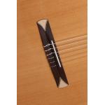 Alhambra CS-1 CW ELECTRIFICADA FISHMAN E1+ Funda 9738 25mm