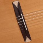 Alhambra CS-1 CW ELECTRIFICADA FISHMAN E1