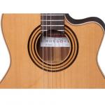 Alhambra CS-1 CW ELECTRIFICADA FISHMAN E1