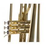 Amadeus TRB400 Trombón de Tres Pistones