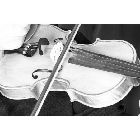 Micrófonos para Instrumentos PRODIPE VL21C MICRÓFONO PARA VIOLINES Y VIOLAS