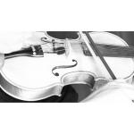 PRODIPE VL21C MICRÓFONO PARA VIOLINES Y VIOLAS