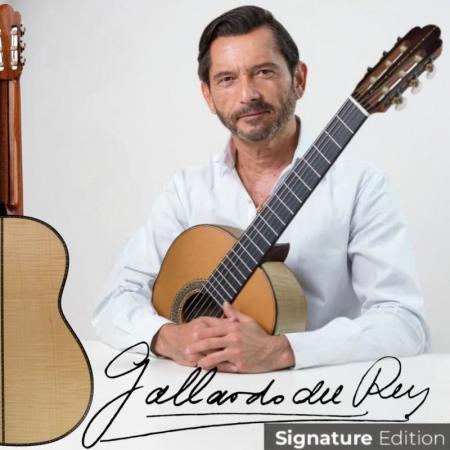 Guitarras Antonio de Toledo Antonio de Toledo José María Gallardo del Rey Arce Rizado Guitarra clásica