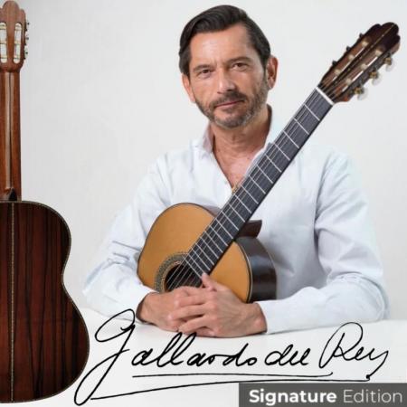 Guitarra Clásica - Guitarra española Antonio de Toledo José María Gallardo del Rey Palosanto de Patagonia Guitarra clásica