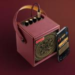 Positive Grid Spark MINI Vai Combo Guitarra Eléctrica