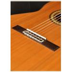 Camps M-10C Guitarra Clasica
