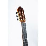 Camps Primera Negra-A Guitarra Flamenca de Palosanto