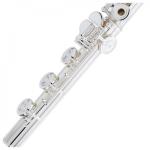 PEARL QUANTZ BREZZA B665RBE-HC CABEZA PLATA Y PATA DE SI Flauta Travesera
