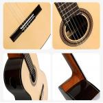 Sulayr Lattice con Tapa de Abeto Guitarra Clásica