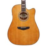 D'Angelico Premier Bowery Vintage Natural
