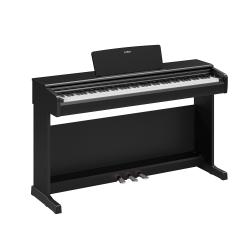 Pianos Electrónicos Yamaha Yamaha YDP-146 Arius Piano DIgital Negro