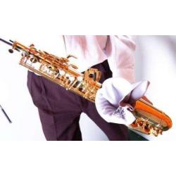 Limpieza Instrumentos Vientos BG A30L PAÑUELO LIMPIADOR SAXO TENOR