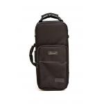 Bressant TR530 Trompeta Si Bemol Dorada