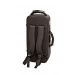 Bressant TR530 Trompeta Si Bemol Dorada