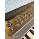Feurich Olya Evo Black Piano digital Negro
