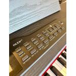 Feurich Olya Evo Black Piano digital Negro