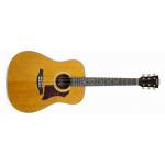 Bromo BAN1V Denali Series Dreadnought Guitarra Acústica