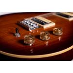 Washburn R5TS-U Raven ’78 Tobacco Burst Guitarra Eléctrica