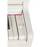 Amadeus PA-20WH Piano digital Blanco