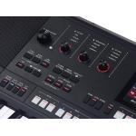 Medeli AKX10s Teclado de 61 teclas
