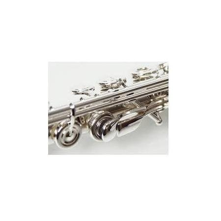 Flautas Traveseras MIYAZAWA BR402-RE