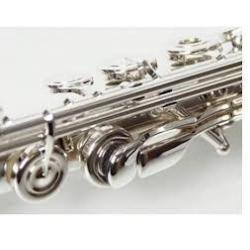 Flautas Traveseras MIYAZAWA BR402-RE