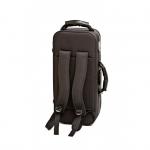 Bressant C530 Trompeta Do Dorada